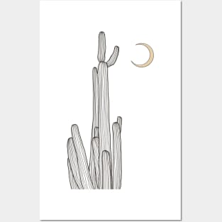 Cacti Posters and Art